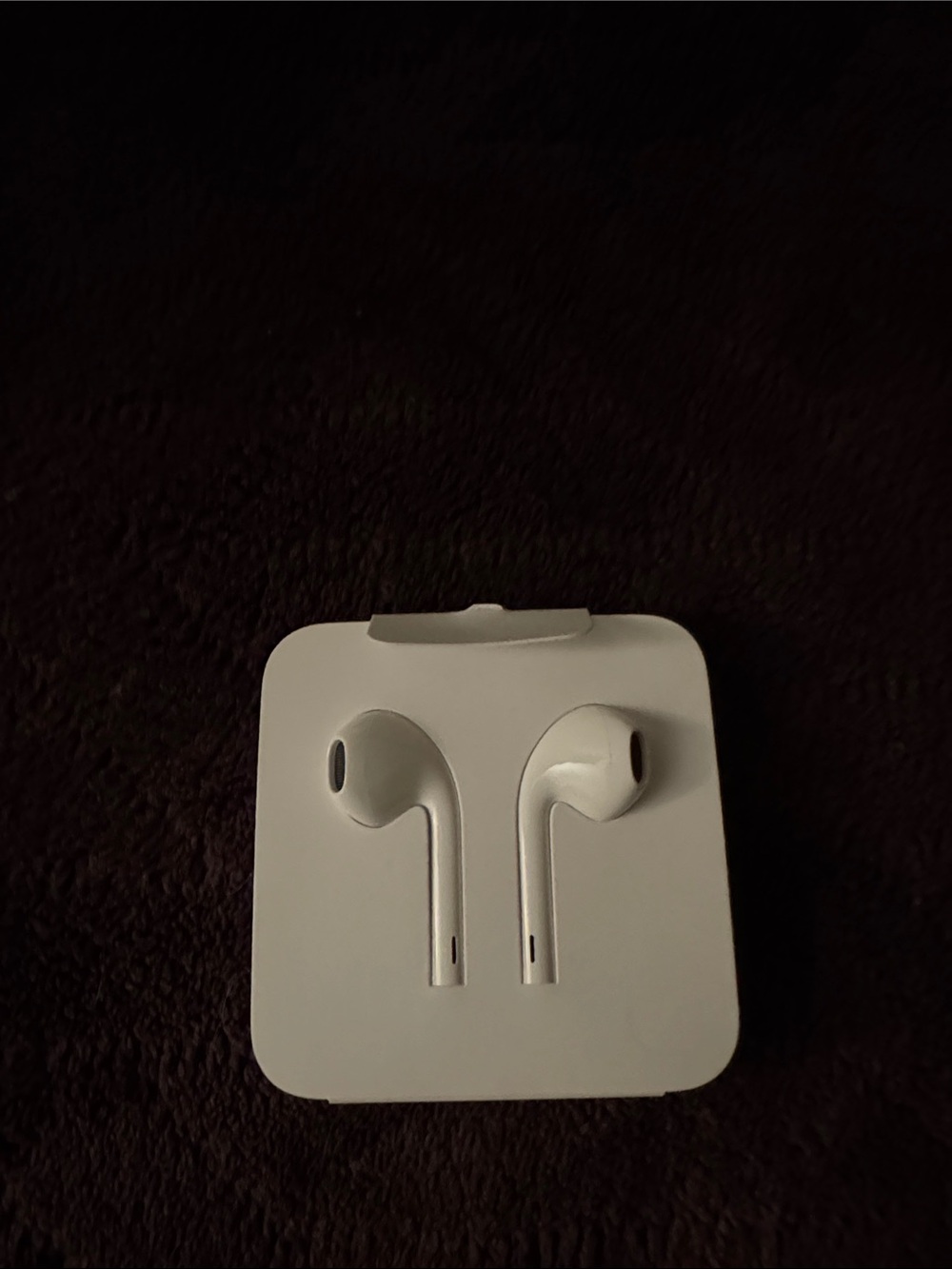 Brand New Apple White Wired Earbud Headphones